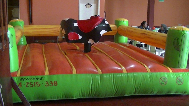 !!!! SANA DIVERSION !!! MEJORAMOS CUALQUIER PRESUPUESTO